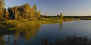 Bucks Run in Mount Pleasant, MI
