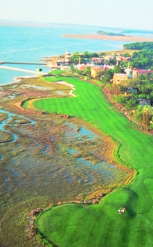 Hilton Head Golf