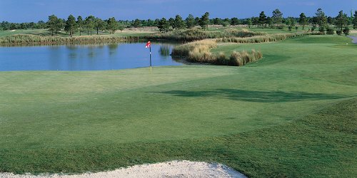 Cypress Bend