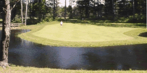 Forest Point Golf Course
