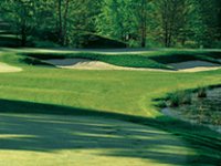 Blue Heron Golf Club