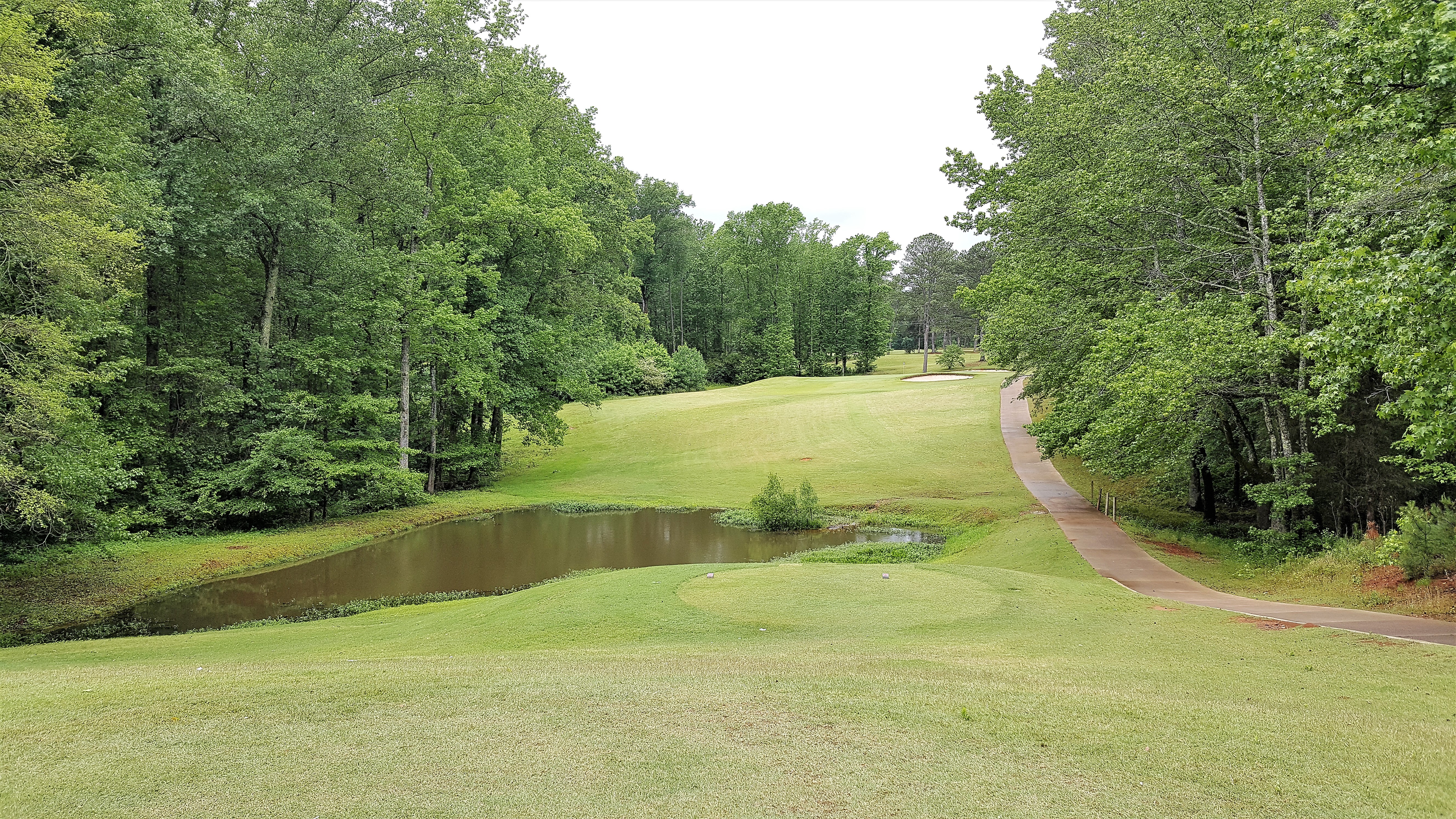 Mountain View Course