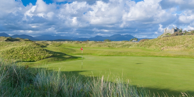 Royal St Davids