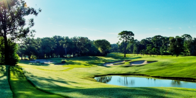 Innisbrook Resort