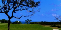  Five Caribbean Golf Must Plays