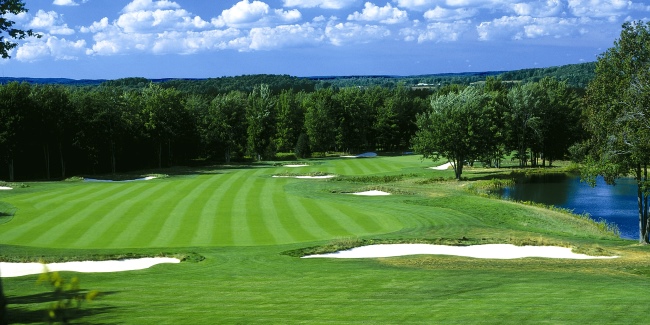 Treetops - Rick Signature #3