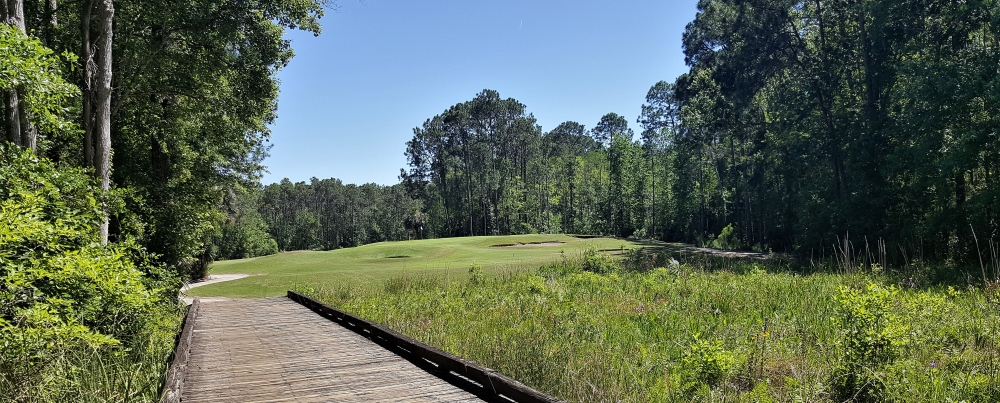 Tee Shot on the Par 3 11th Hole