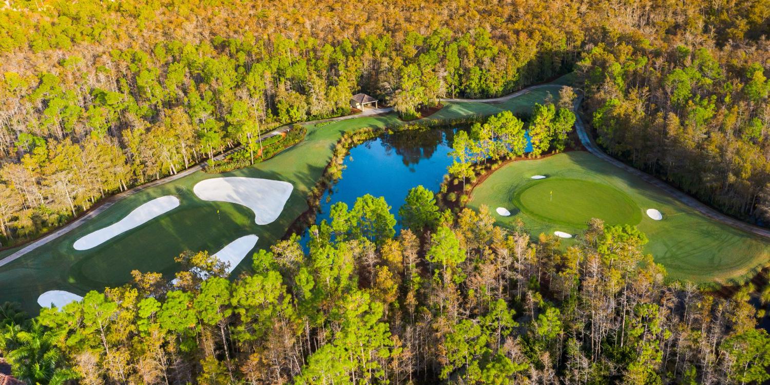 Olde Cypress