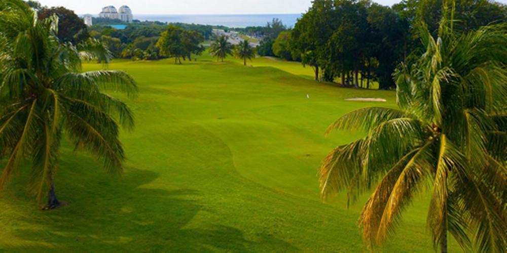 Q + A with Jamaica Pro Am Tournament Director Nick Schmitz