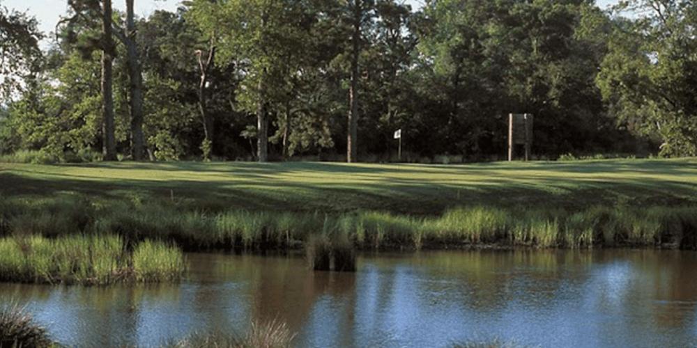 Gray Plantation