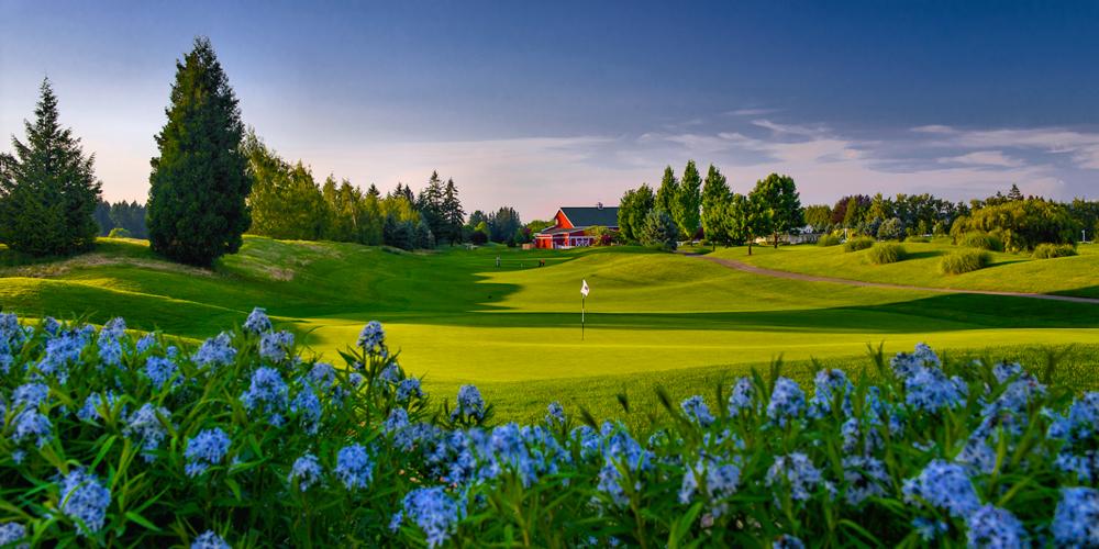 Langdon Famrs #8