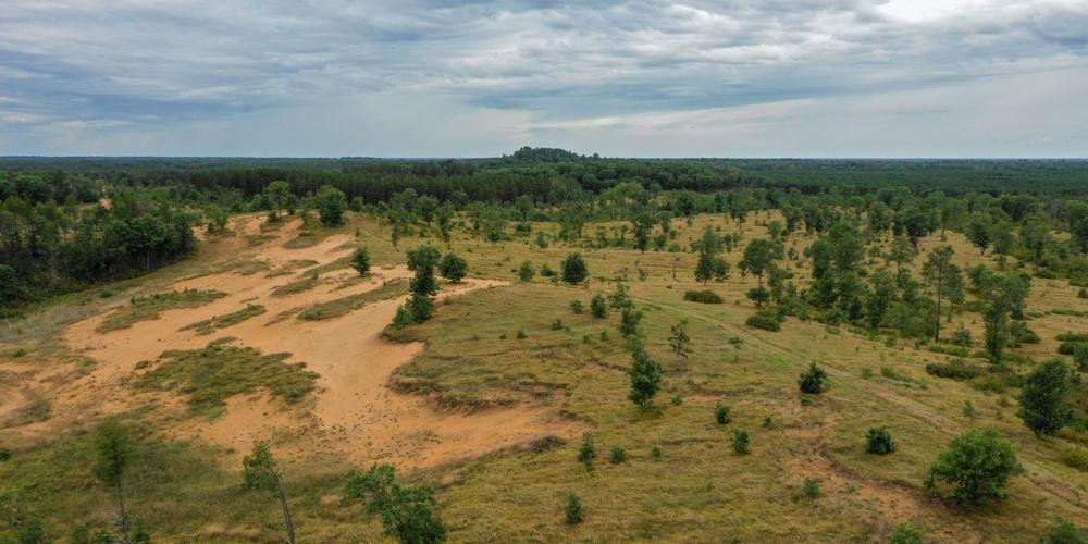 Views of Sedge Valley's Land