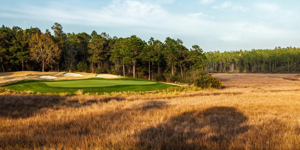 Getting To Know: Shell Landing