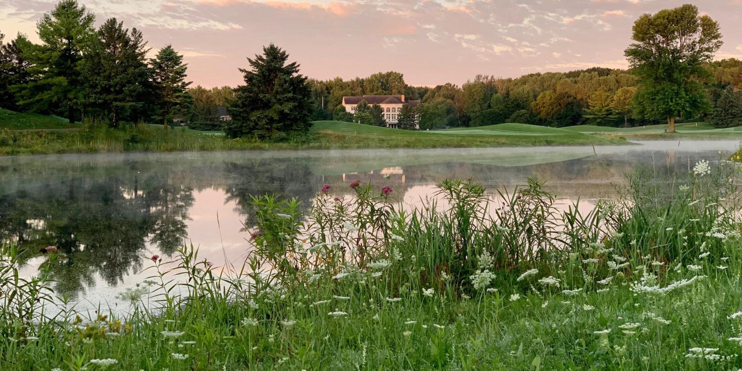 Thornberry Creek