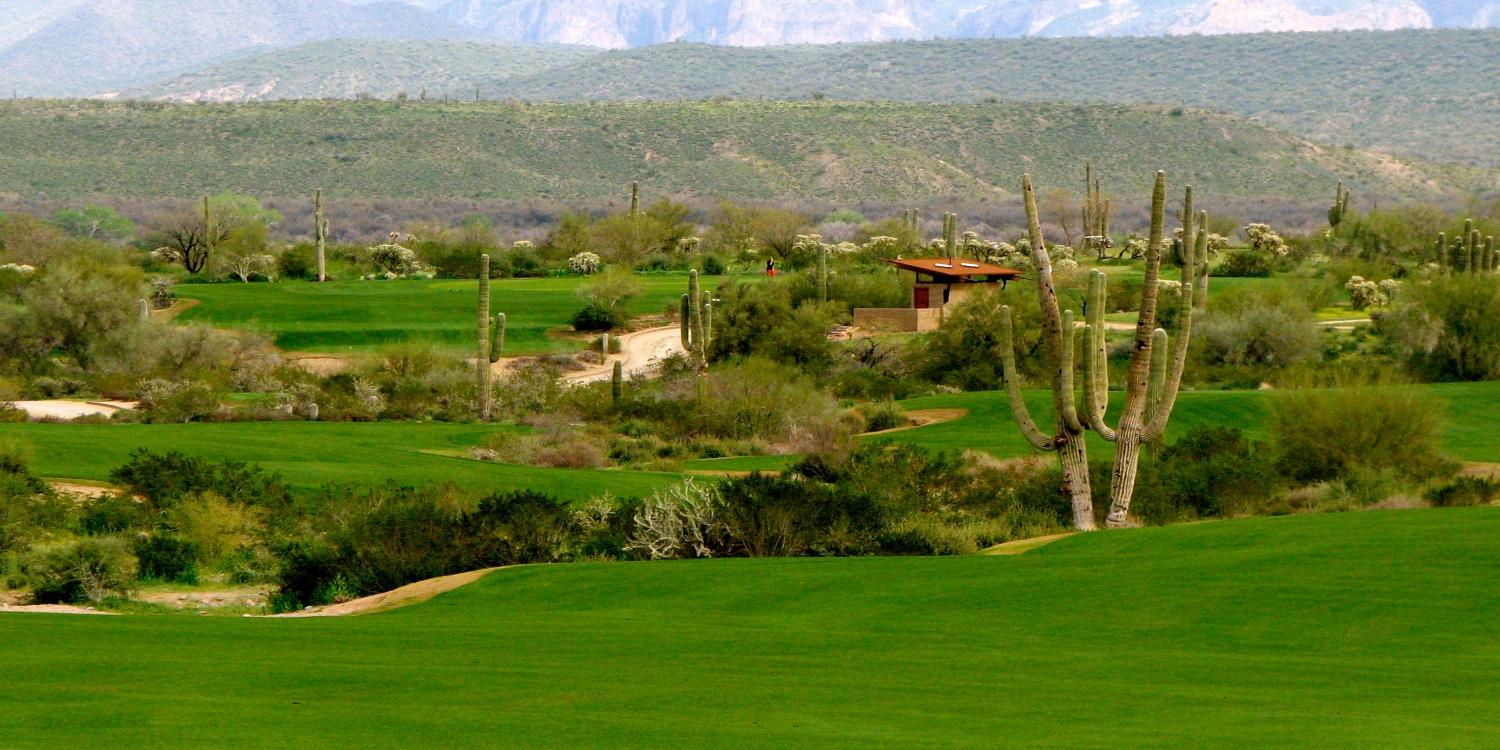 We-Ko-Pa. Saguaro Course