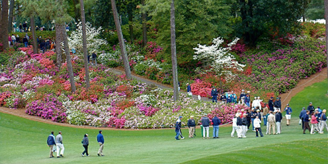 Augusta National: One of The Finest Courses In Golf