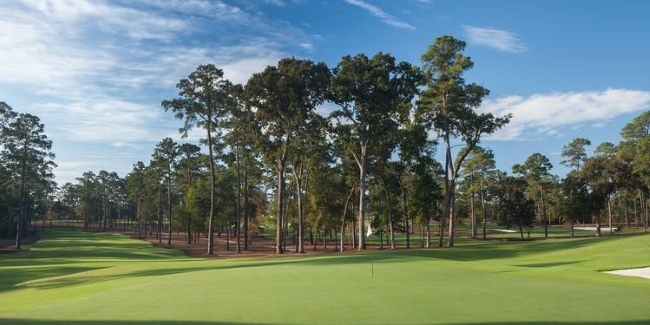 Bluejack National