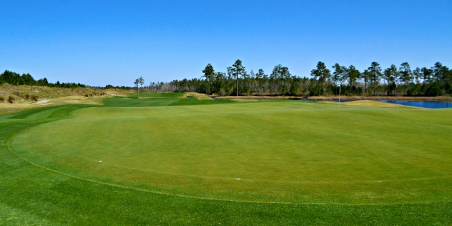 Cape Fear National Benefits from Use of Hybrid Bentgrass