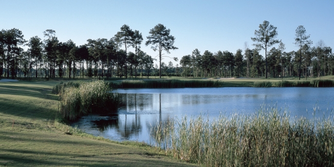 Gray Plantation -Hole #16