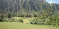 Oahu Golf - Ko'olau Golf Course