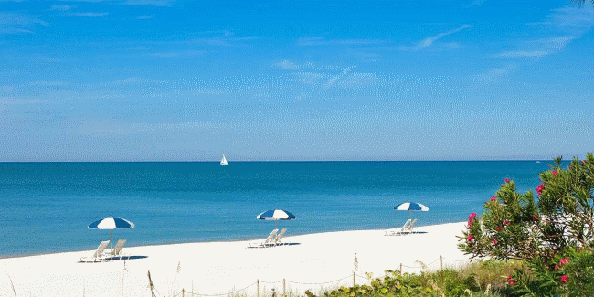 The Beach at LaPlaya Beach Resort