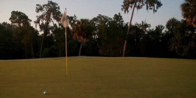 Lone Palm