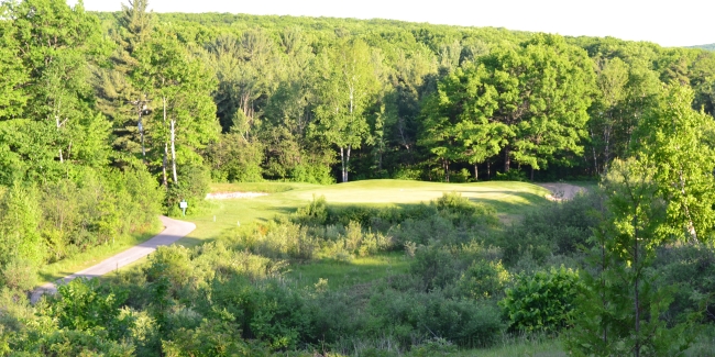 Marsh Ridge #10