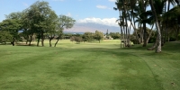 Maui My Way