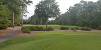 Blackmoor Golf Club Review 