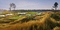 Hit the links at Cape Fear National in Brunswick Forest