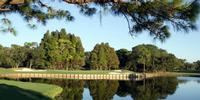 Innisbrook's Famed Copperhead Course is Back in Action