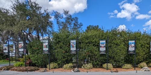 Historic Disney World Golf celebrates a 50-year milestone