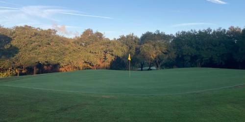 Halifax Plantation Reopening After Installation New Champion Bermuda Greens