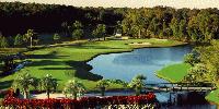 Disney's Palm Golf Course