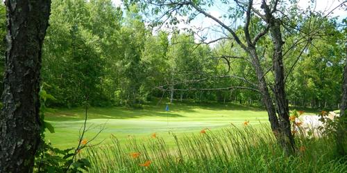 Golf Course Overview: Pinewood Country Club