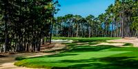 Poppy Hills Golf Course Review