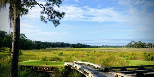 Low Country Beauty at Sapelo Hammock-