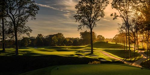 Ackerman Hills Renovation - Q&A