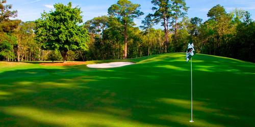 ALABAMA'S QUEEN OF SOUTHERN RESORTS
