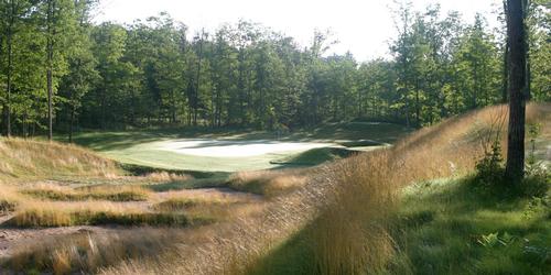 Getting To Know: Big Fish Golf Club