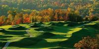 French Lick Dominates in Hosting Senior Majors