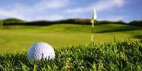 Mobile Apps while on the Fairway