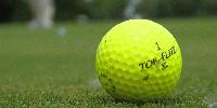 Golf and bingo for charity