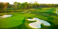 Super Bowl Site Houston Holds Super-Sized Green Grass Public Winter Golf