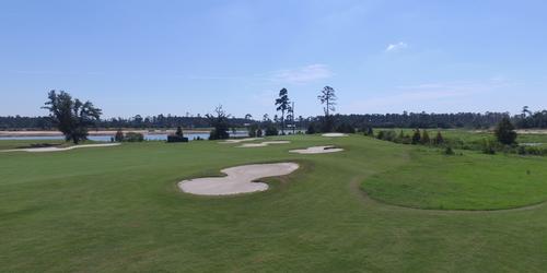 Gray Plantation Review