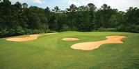 Go Golfing At Gunter's Landing
