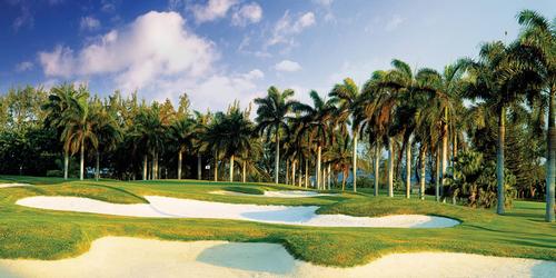 Winter Escapes: Jamaica's Top Golf Destinations