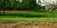 Pinehurst Sand Hills NC Golf Package
