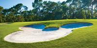Disney's Magnolia Golf Course 