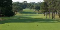Ocala Golf Club
